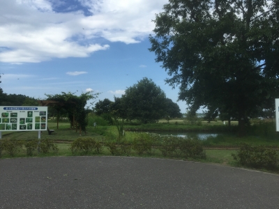 2016-08-09 09.47.13.jpg