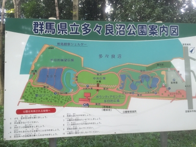 2016-08-09 09.52.12.jpg