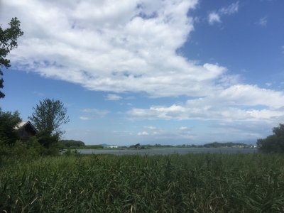 2016-08-09 09.54.11.jpg