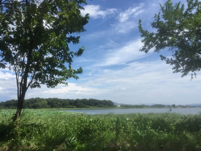 2016-08-09 10.09.29.jpg