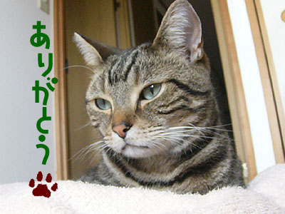どうもありがとう!