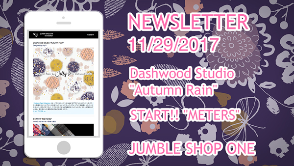 ニュースレター11月29日号
