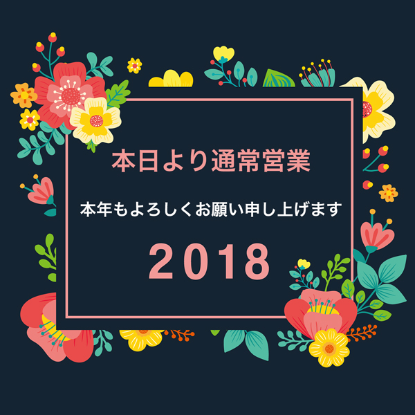 2018 NEW YEAR