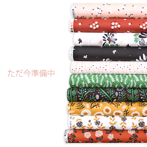 Cloud9 Fabrics Fanciful Collection