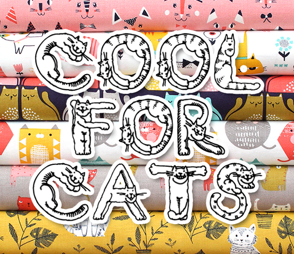 Dashwood Studio Cool For Cats Collection by Dashwood Designers