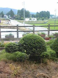 100626_123048_ed.jpg