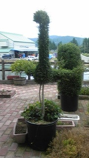 100626_123023_ed.jpg