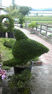 100626_122842_ed.jpg