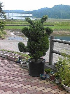 100626_122945_ed.jpg