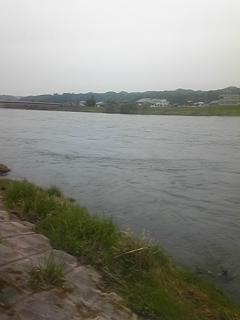 110526_142305.jpg