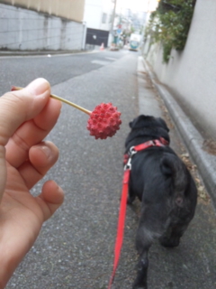 110930_164255.jpg