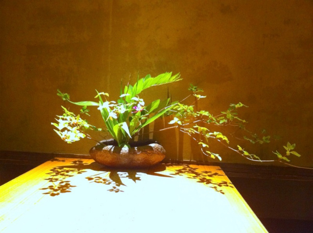 野の花