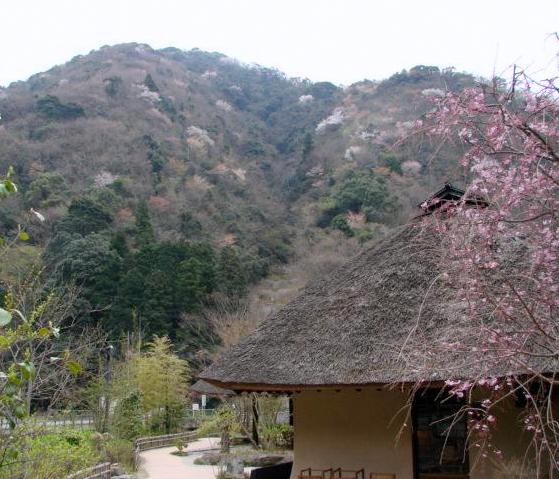 里山