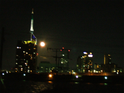 十六夜の月