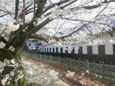 福岡城