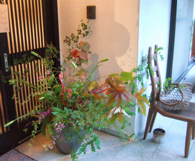 紅葉