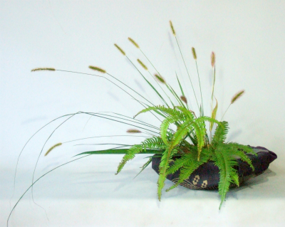 野草
