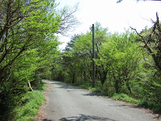 七山