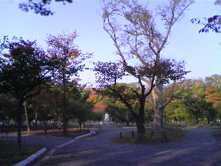 081019_1454~01.jpg