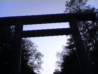 081019_1458~01.jpg