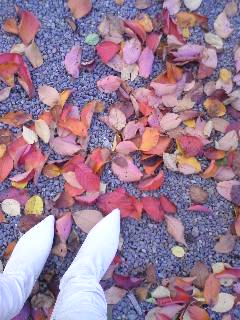 081019_1456~01.jpg