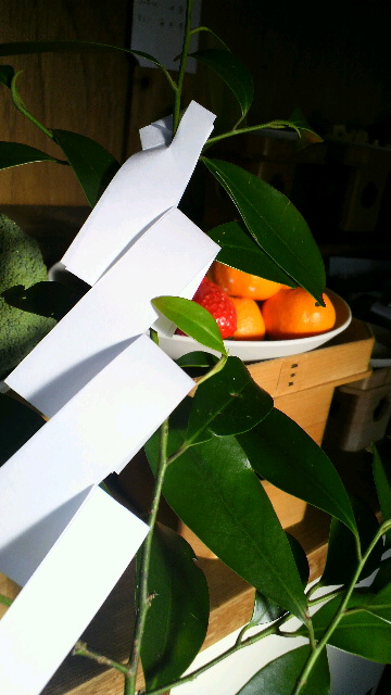 2012060912510000.jpg