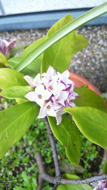 2012060914400000.jpg