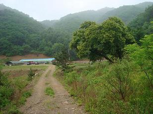 山の家