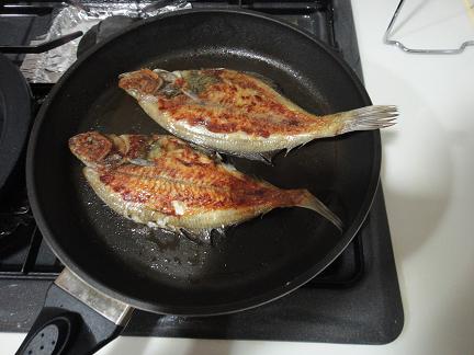 カレイ
