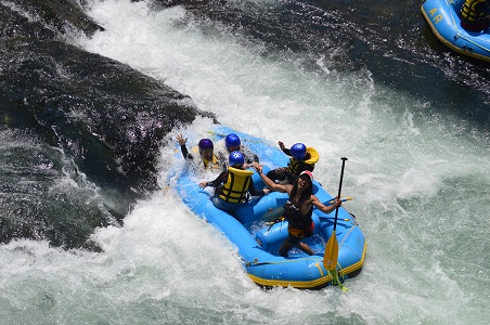 image1.JPG