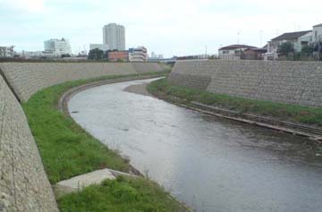吉沢交差点付近の野川