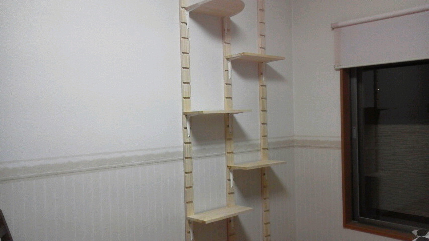 2015081520300000.jpg