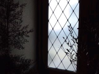 120311_1508~01.jpg