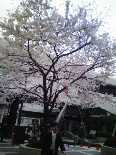 20070402124530.jpg