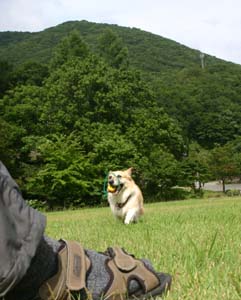 今度はワタシ〜♪