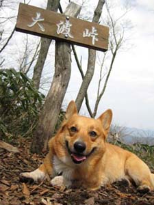 はぁはぁ・・・しんどいんだけど、しあわせ。