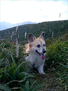 ばぁ〜