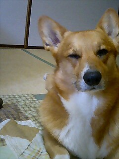 え?なんのこと?