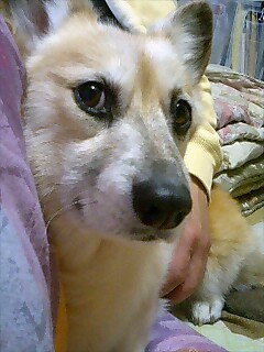 カメラを向けられると、どうしてもこうなっちゃうの