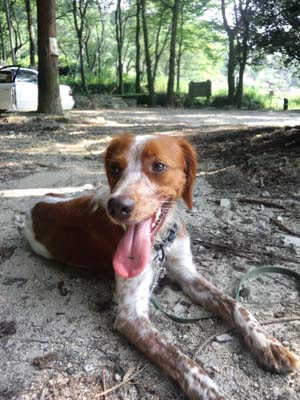 2012-7-30th-2.jpg
