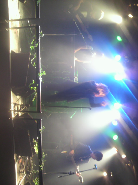 P1000025.jpg