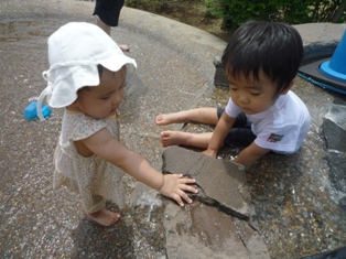 ぺちぺち