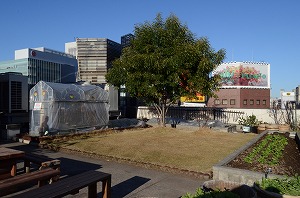 s-1 010.jpg