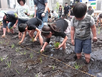 s-s-2015.6.6 298(田植え).jpg