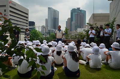 s-1 380.jpg