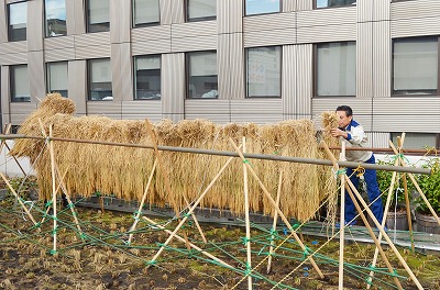 s-採用DSC_5753.jpg