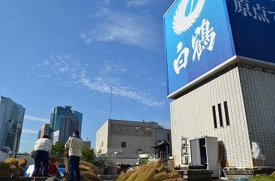 s-採用DSC_5920.jpg