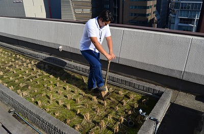 s-採用DSC_5953.jpg