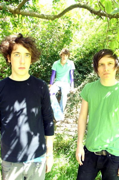wombats