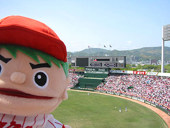 carp2